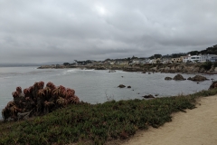 The Monterey Bay Aquarium is at the end of the peninsula in the upper left.