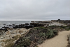 One of my favorite walks along the bay from Pacific Grove