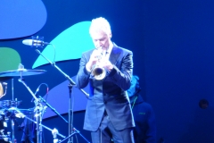 Chris Botti