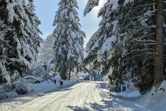 27th - heading home, I hope; this is a road in their development, glad it was plowed.