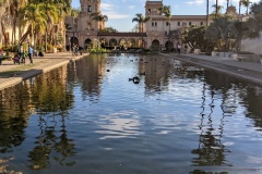 Lily Pond, view from the Botanical Building