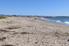 Ventura State Beach