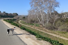 Walking back along the reservoir