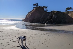 Beach in Port Orford