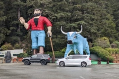 Trees of Mystery - Paul Bunyan and Babe the Blue Ox