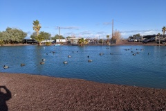 Newberry Mountain RV Park - east of Barstow