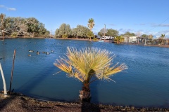 Newberry Mountain RV Park - east of Barstow