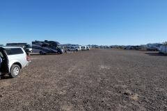 This is life in the desert