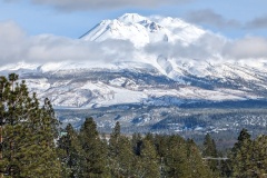 Finally, Mount Shasta in all her glory