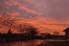 Sunset from the Fresno Fairgrounds