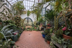 Inside Conservatory
