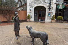 Cedric was a beloved dog - so they named a tavern after him