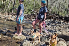 Emi seems better now, Zeke is OK (blue harness)