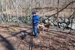 Danny and the 4 dogs - at Tanglewood Park