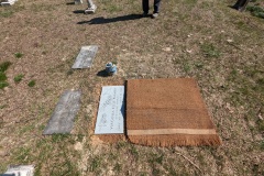Virginia's ashes buried on top of my father's grave. My mother's grave is beside his. 