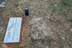 Some of Sunna's ashes sprinkled  over Virginia's ashes