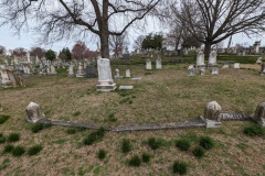 The left hand side of the plot is my mother's family.  