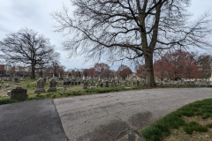 View to the north