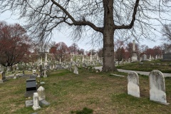 View of cemetery - to west