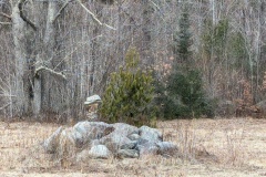 This rock pile with a small tree is where Carl's ashes are, always visible