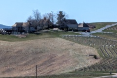 12 Ridges Vineyard, Raphine, VA