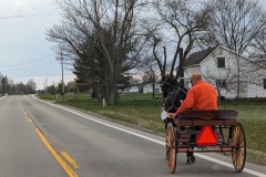 Horse drawn carts- some had more people in Amish attire