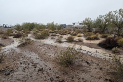 Lots of rain - in the desert it just runs off and floods
