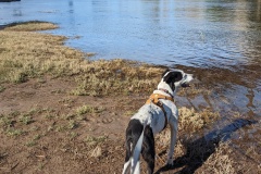 Yuma: on the Colorado River