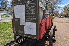 Cart on the street - Diversity in Springfield