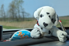 My little Sunna companion - always with me (thanks Loris!)