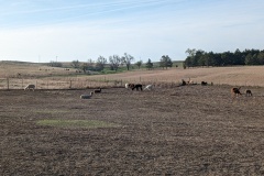 Here you see the girls in the foreground, and the boys in the field beyond them.