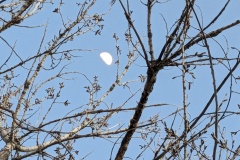 Moon rising