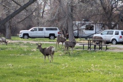 Next morning, lots of visitors