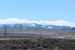 NE Closeup