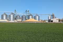 Grain storage