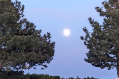 Moon rising