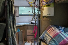 Tree inside my Rpod