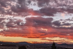 5:50p
