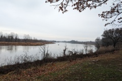 Arkansas River near Little Rock AR