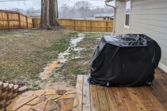 Backyard after rain