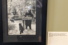 Mildred the Bear