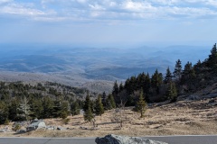 Another view