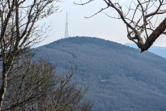 Grandmother Mountain 