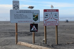 I parked on the side and didn't drive on the beach (with truck & trailer)