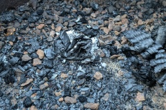 Ashes to Ashes