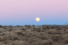 Moon rising over the desert