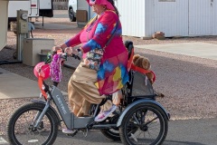 Parade of decorated bikes and carts
