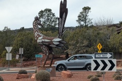 Largest Road Runner I've ever seen!