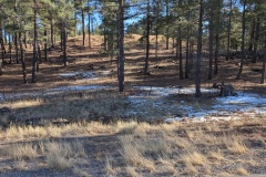 Snow at higher elevation