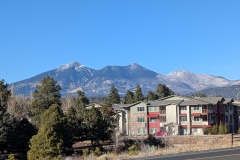 I drove all the way to Flagstaff to see the snow on the mountain peaks